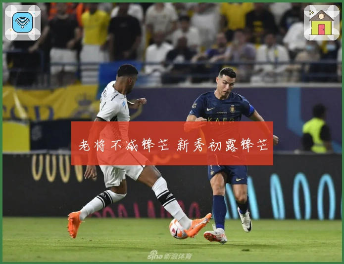 老将不减锋芒 新秀初露锋芒