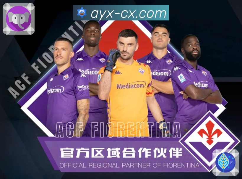 爱游戏赛程管理App